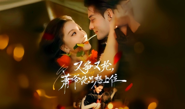 离婚算什么，沈小姐她转头改嫁了