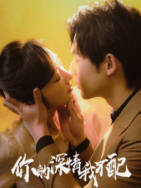 你的深情我不配