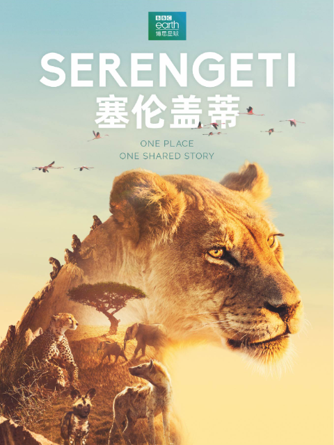 塞伦盖蒂（中配版）