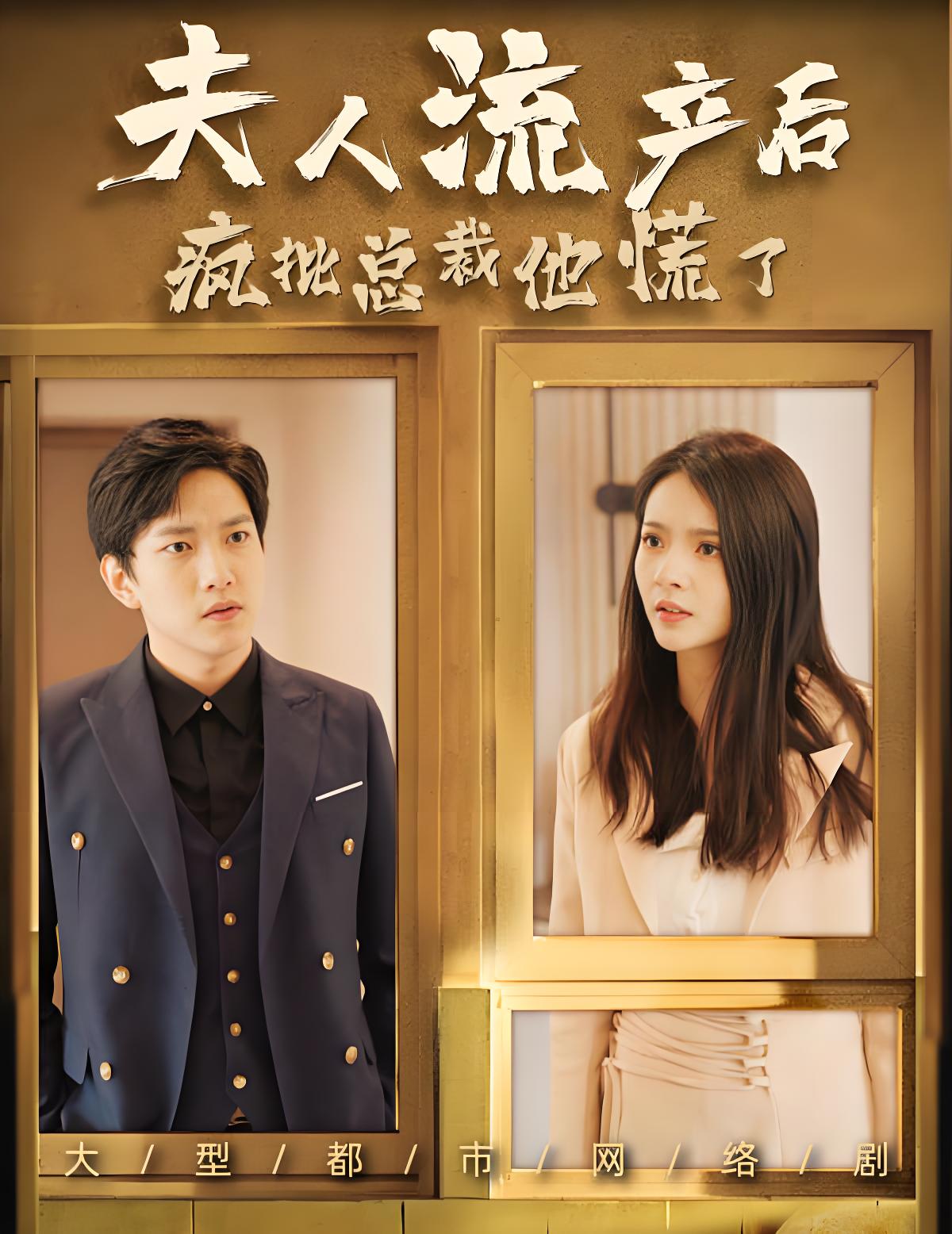 夫人流产后，疯批总裁他慌了