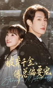 被弃千金傅总偏要宠