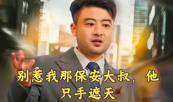 别惹我那保安大叔，他只手遮天