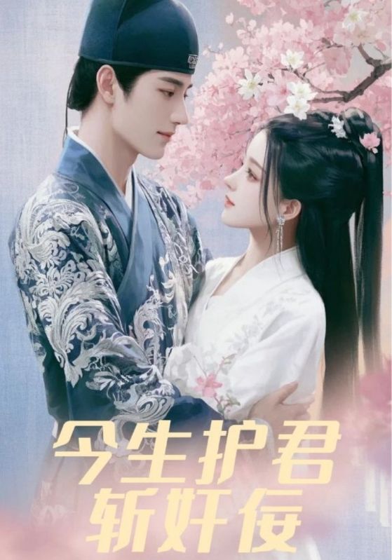 今生护君斩奸佞
