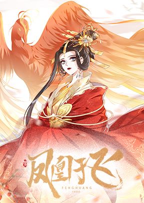 凤凰于飞第1季