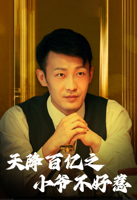 天降百亿之小爷不好惹