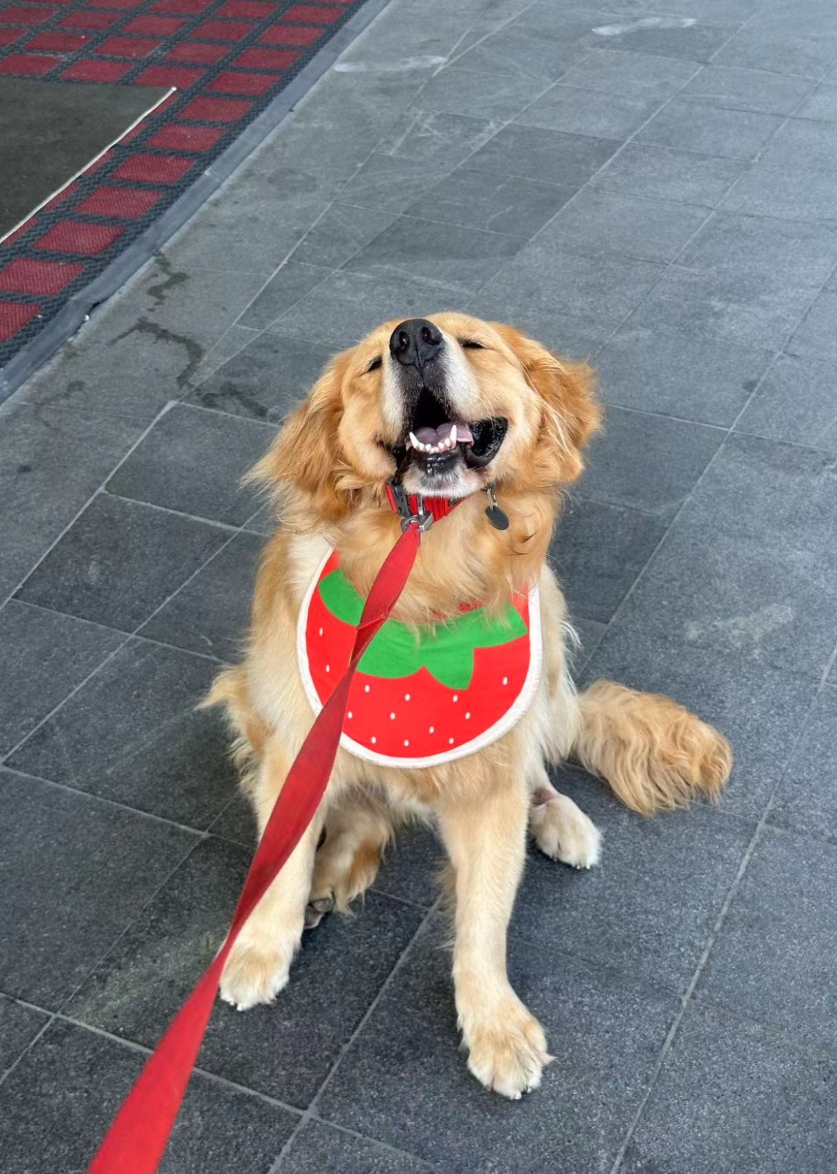 满满的短剧1鼠的鼠的