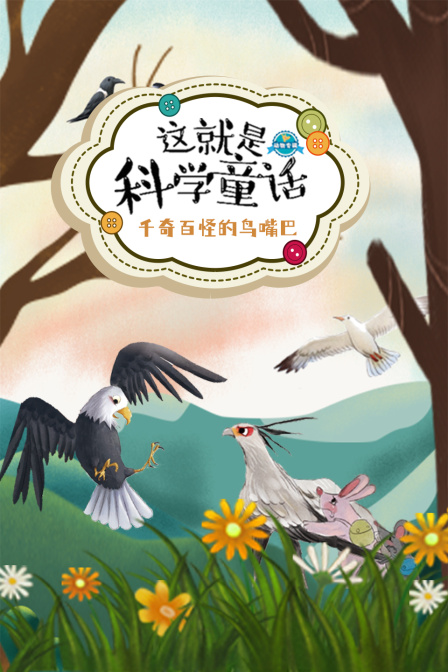 这就是科学童话千奇百怪的鸟嘴巴