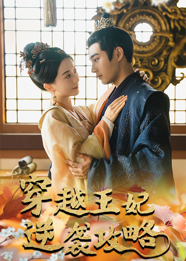 穿越王妃逆袭攻略