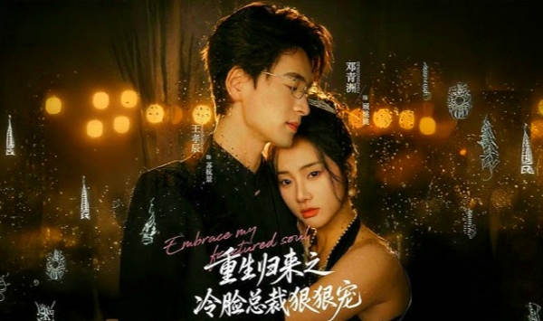 重生归来之冷脸总裁狠狠宠