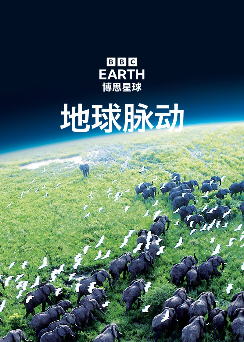 地球脉动第1季国语版
