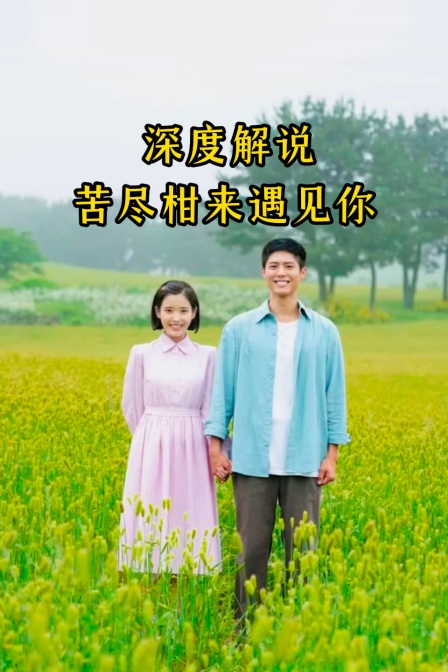 深度解说苦尽柑来遇见你