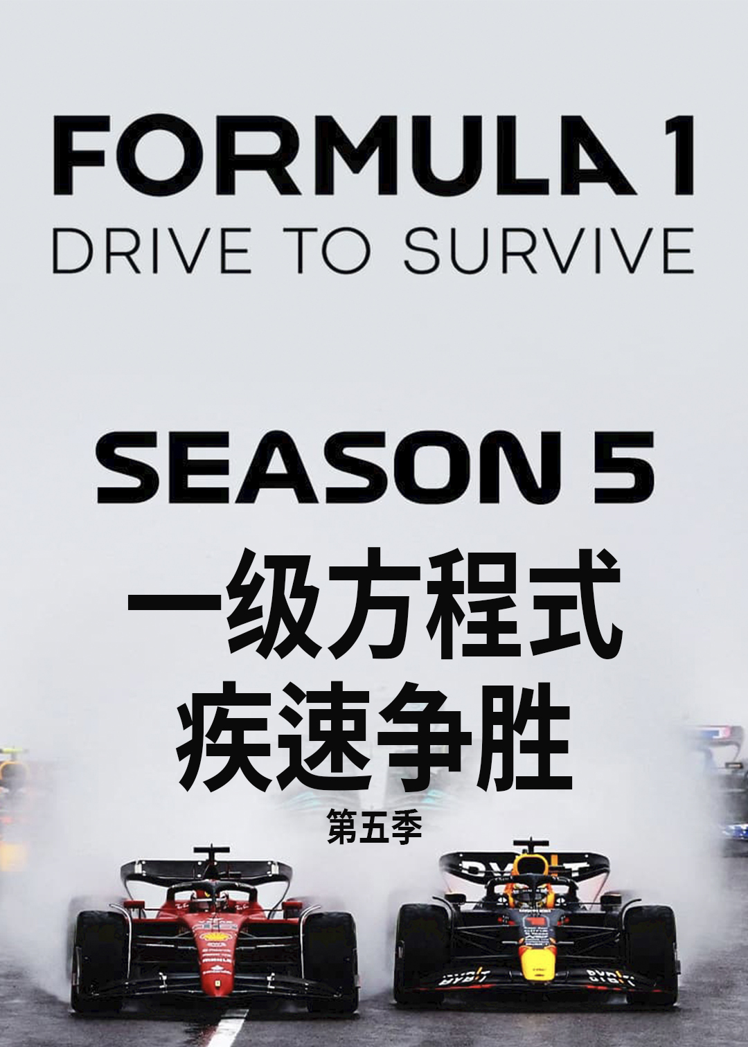 一级方程式疾速争胜第五季