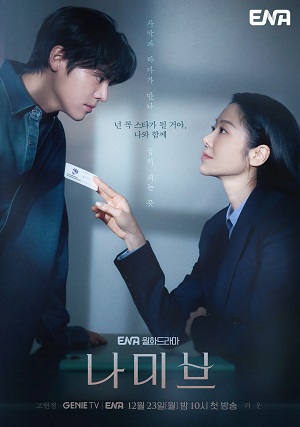 星星闪耀的夜晚