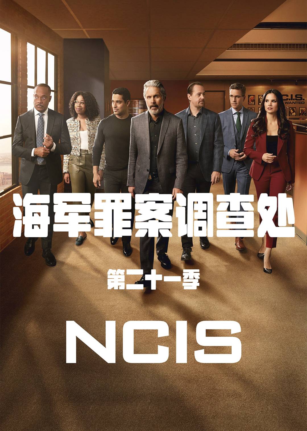 海军罪案调查处第二十一季