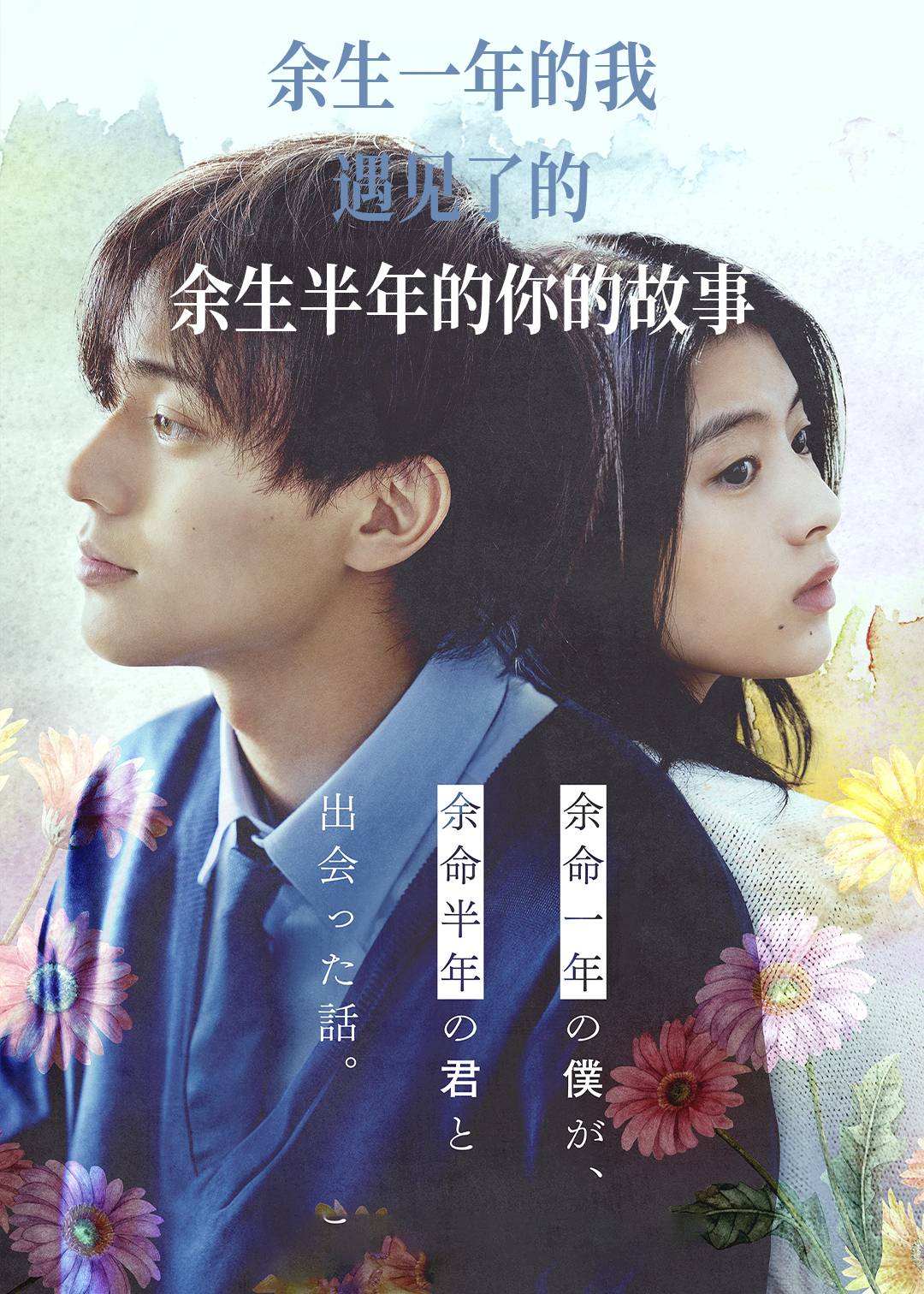 余生一年的我遇见了余生半年的你的故事
