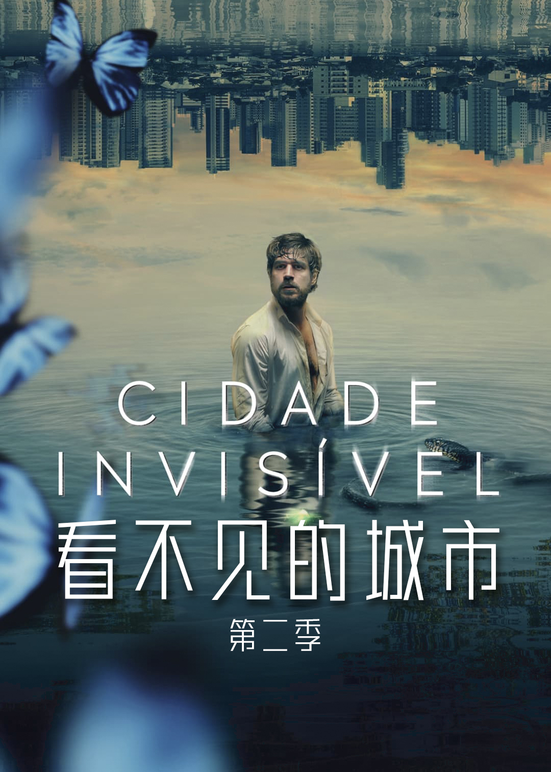看不见的城市第二季
