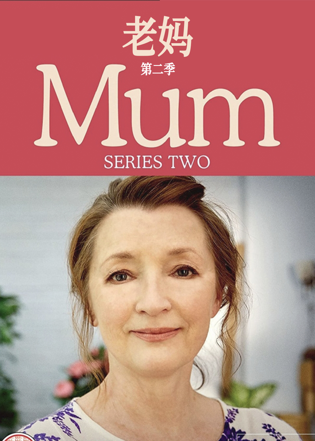 老妈第二季