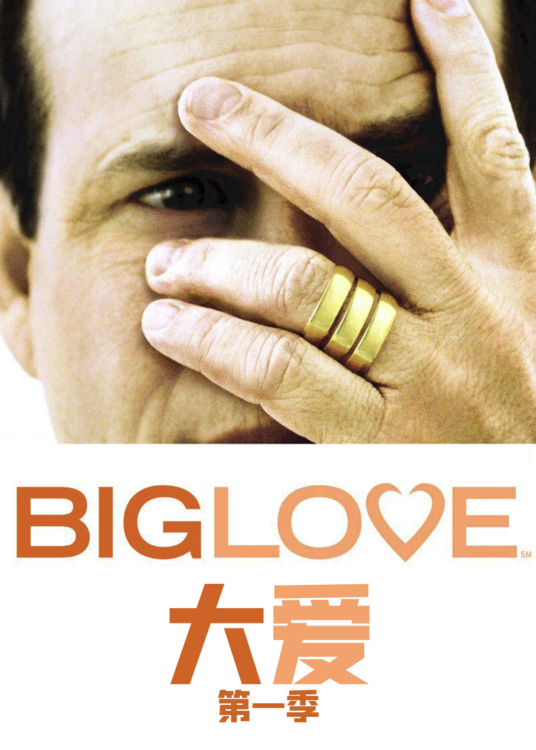 大爱第一季