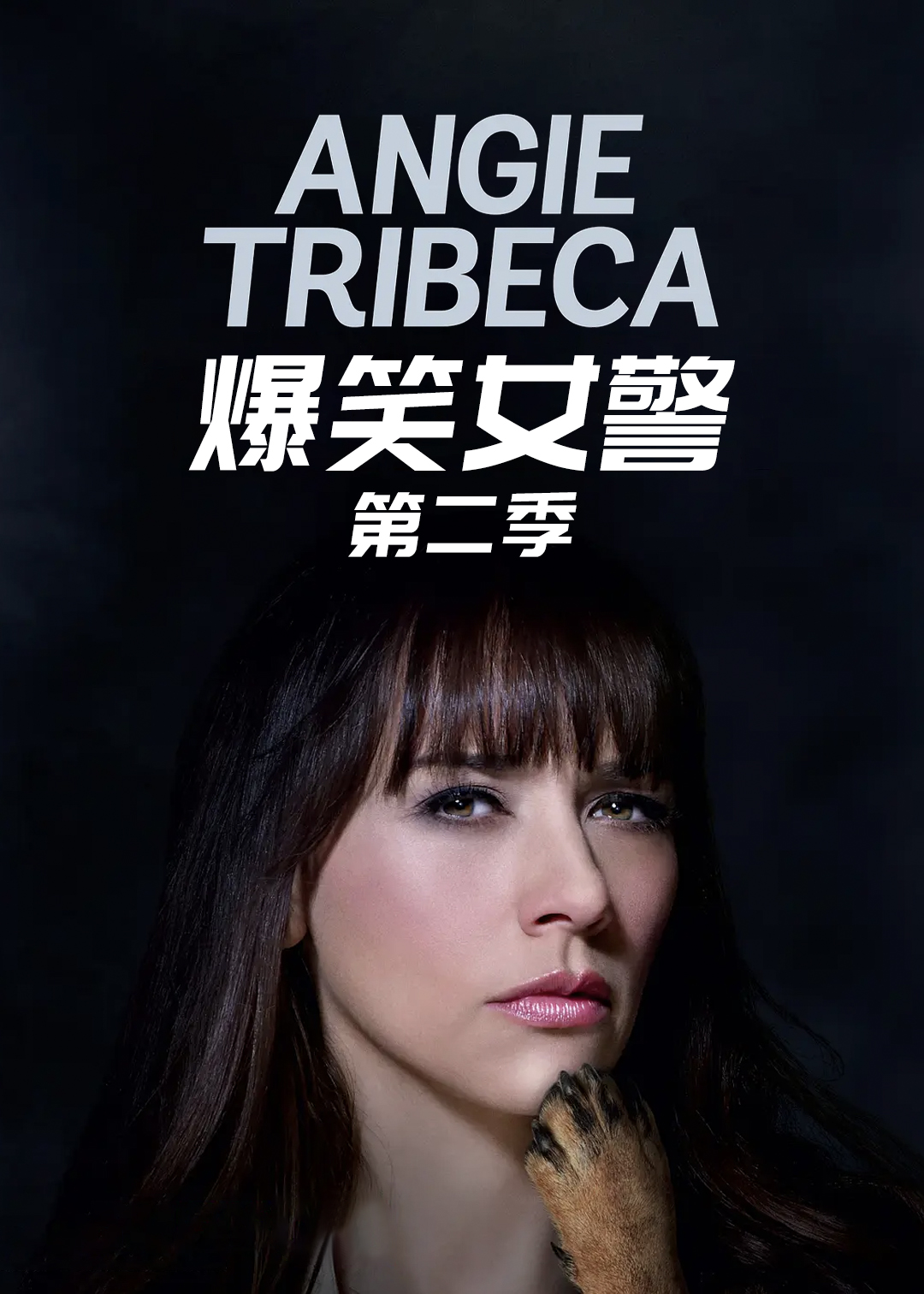 爆笑女警第二季