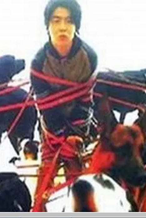 向井荒太的动物日记