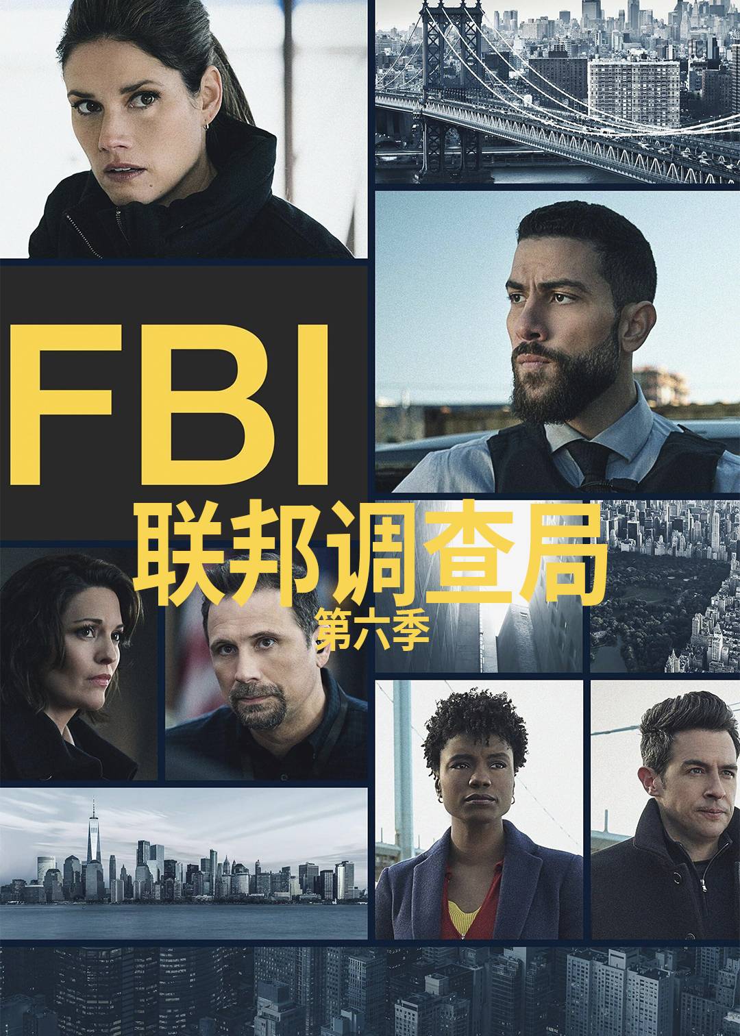 联邦调查局第六季