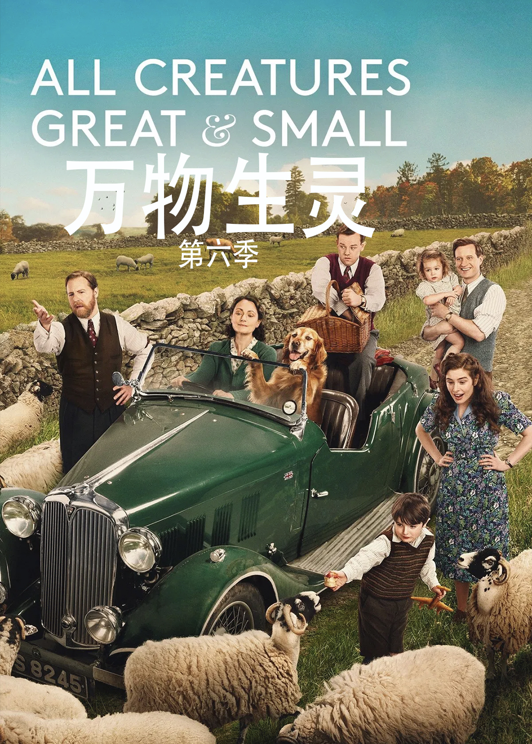万物生灵第六季