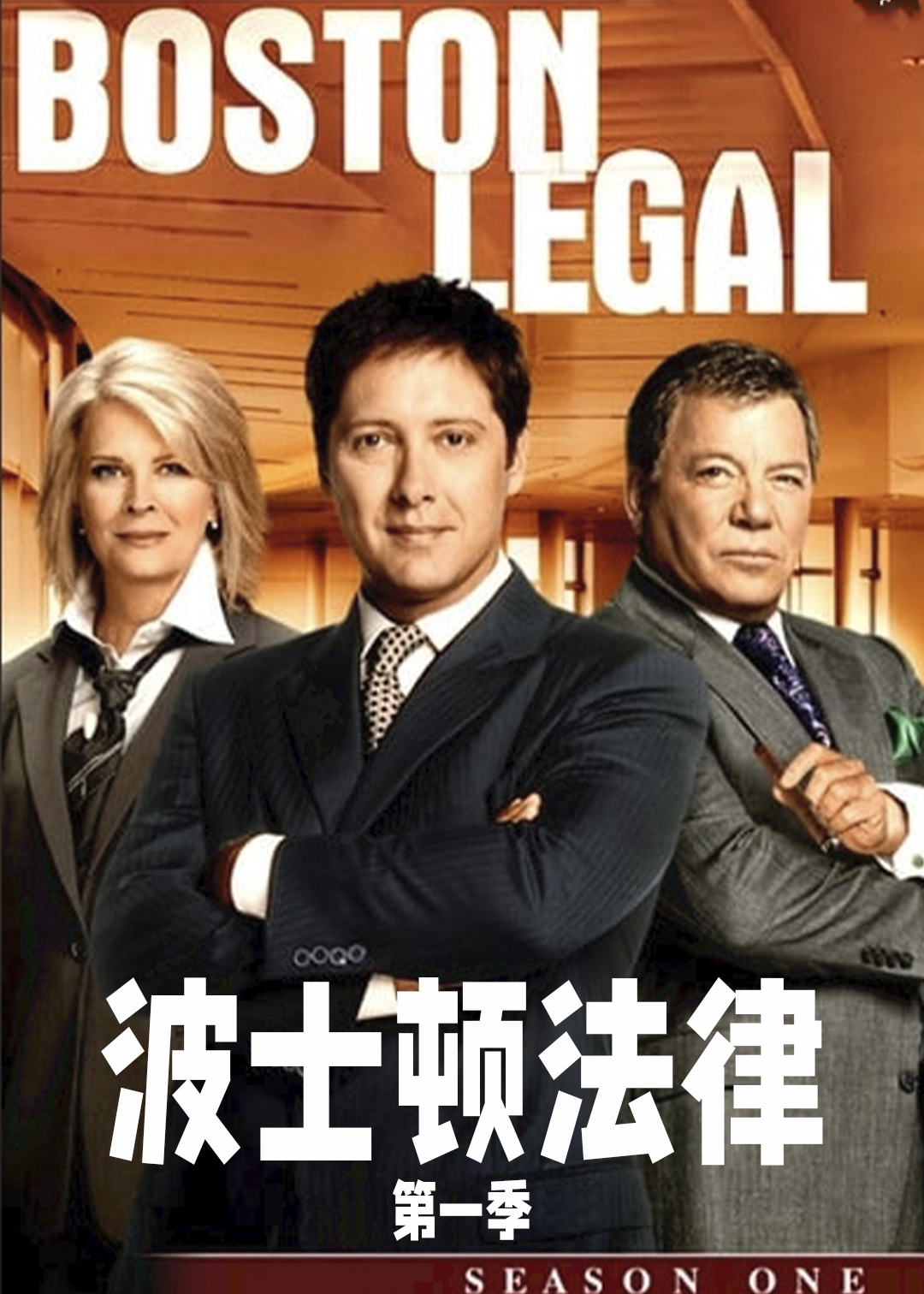 波士顿法律第一季
