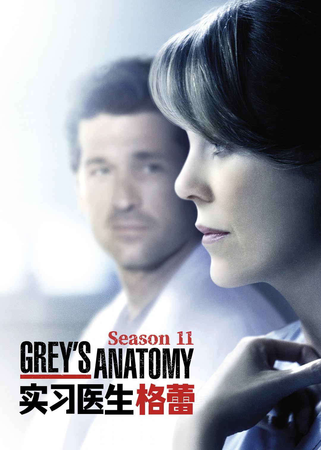 实习医生格蕾第十一季