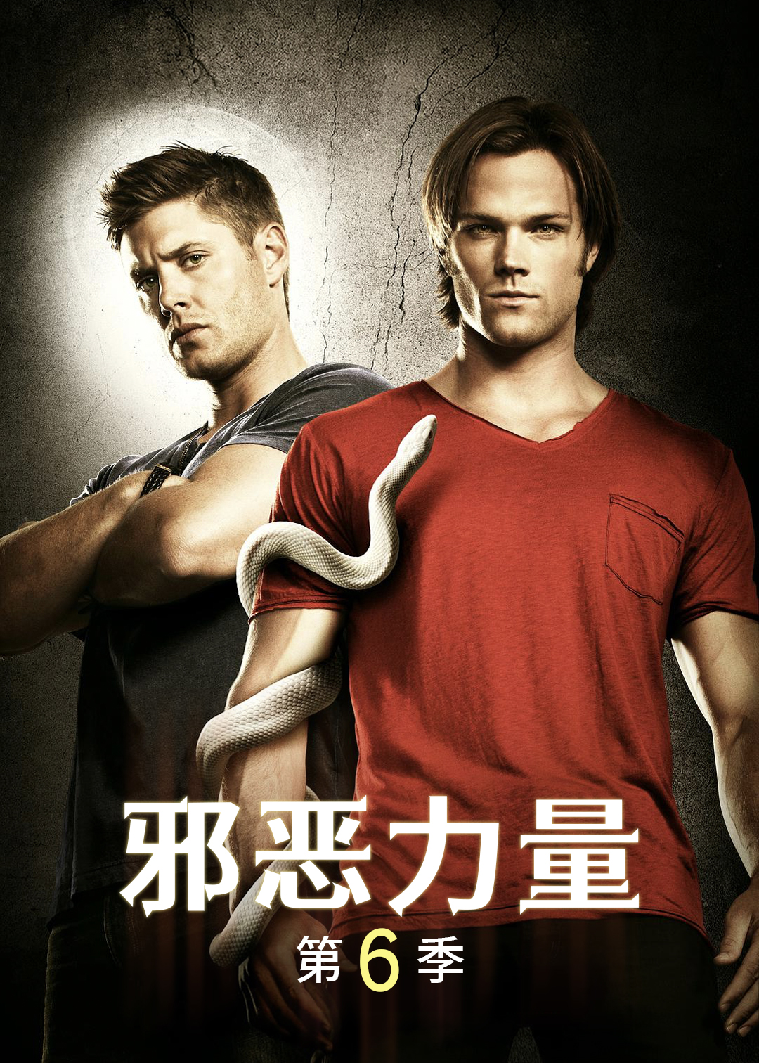 邪恶力量第六季