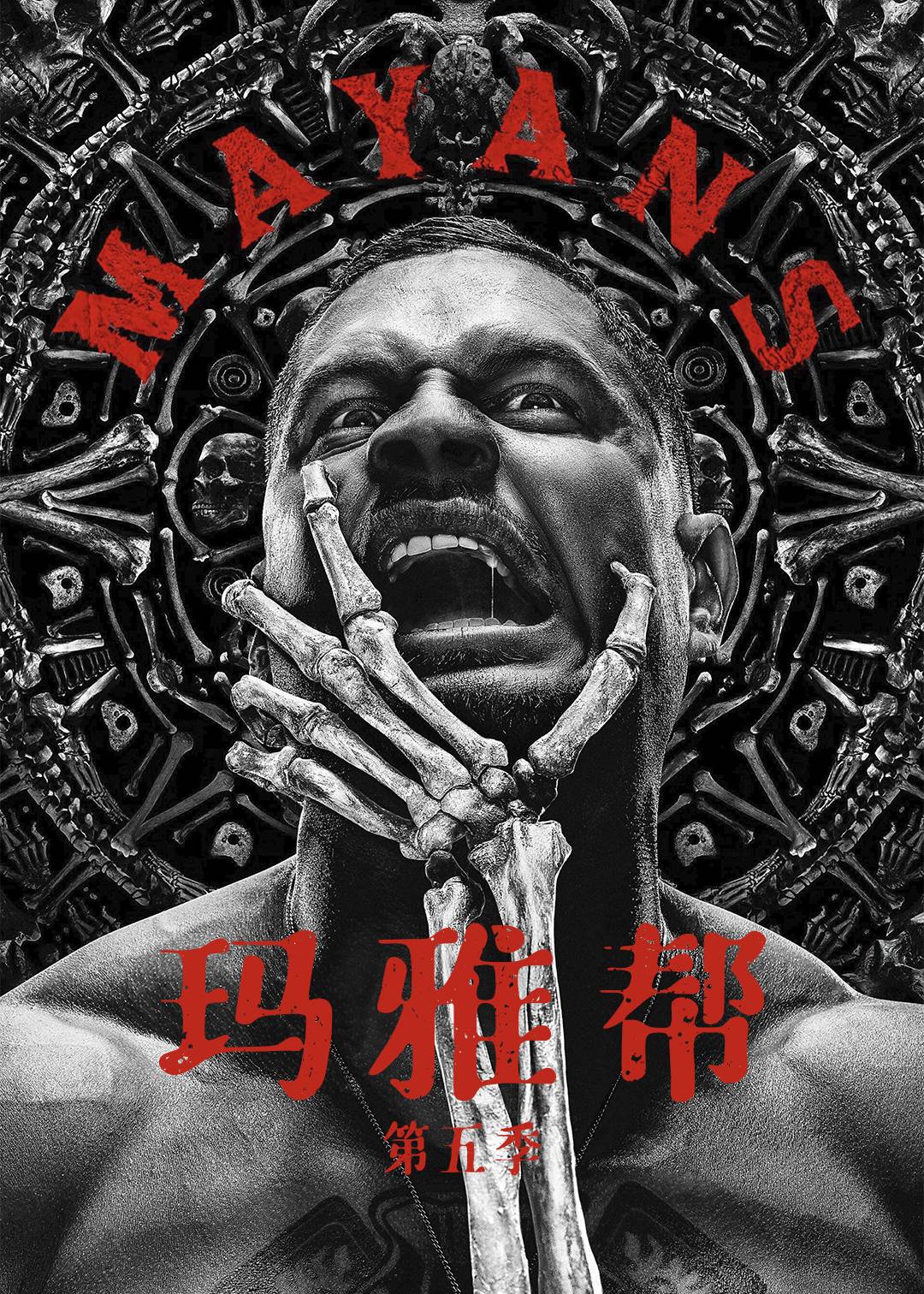 玛雅帮第五季