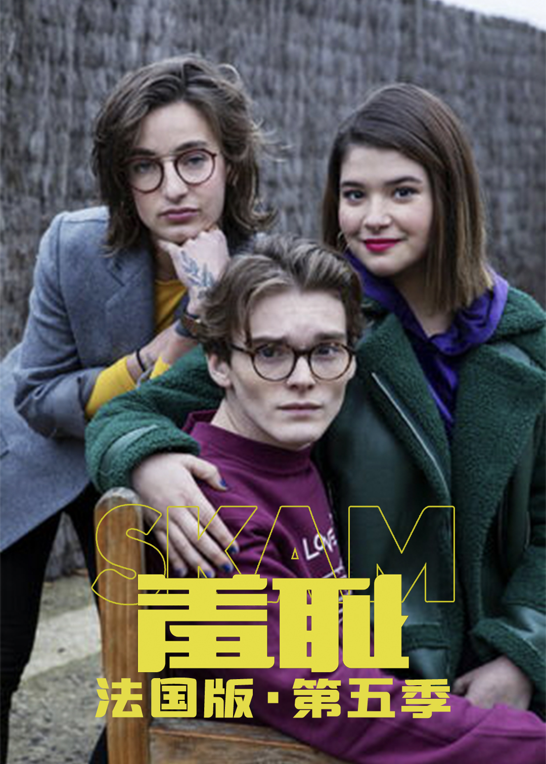 羞耻法国版第五季