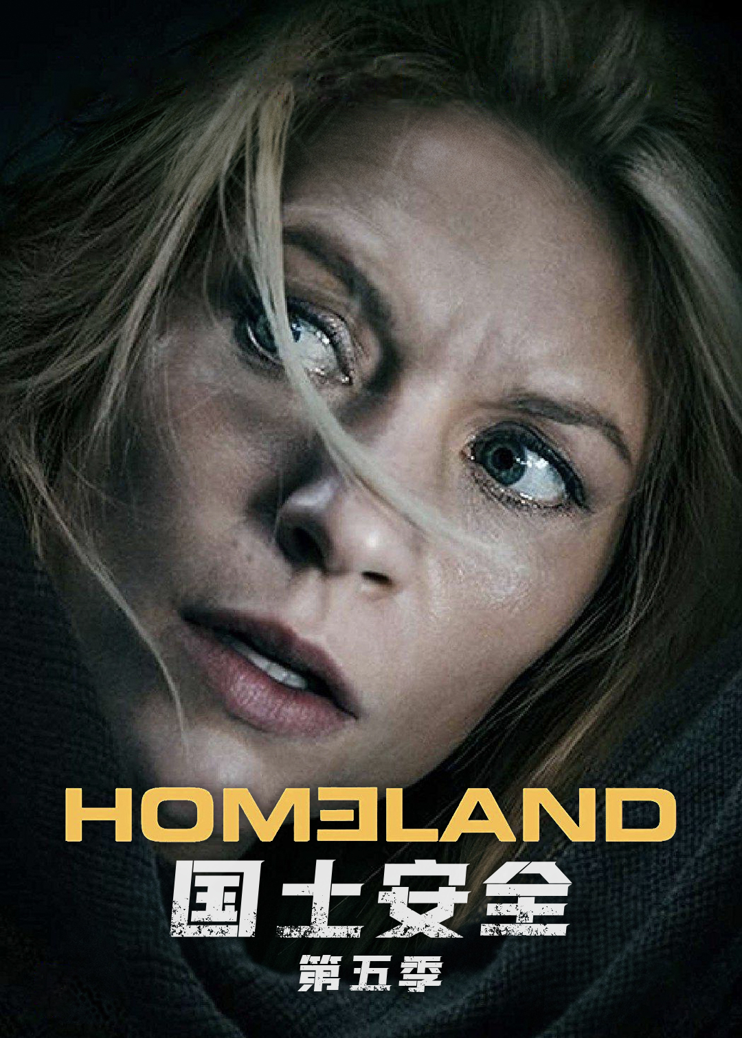 国土安全第五季