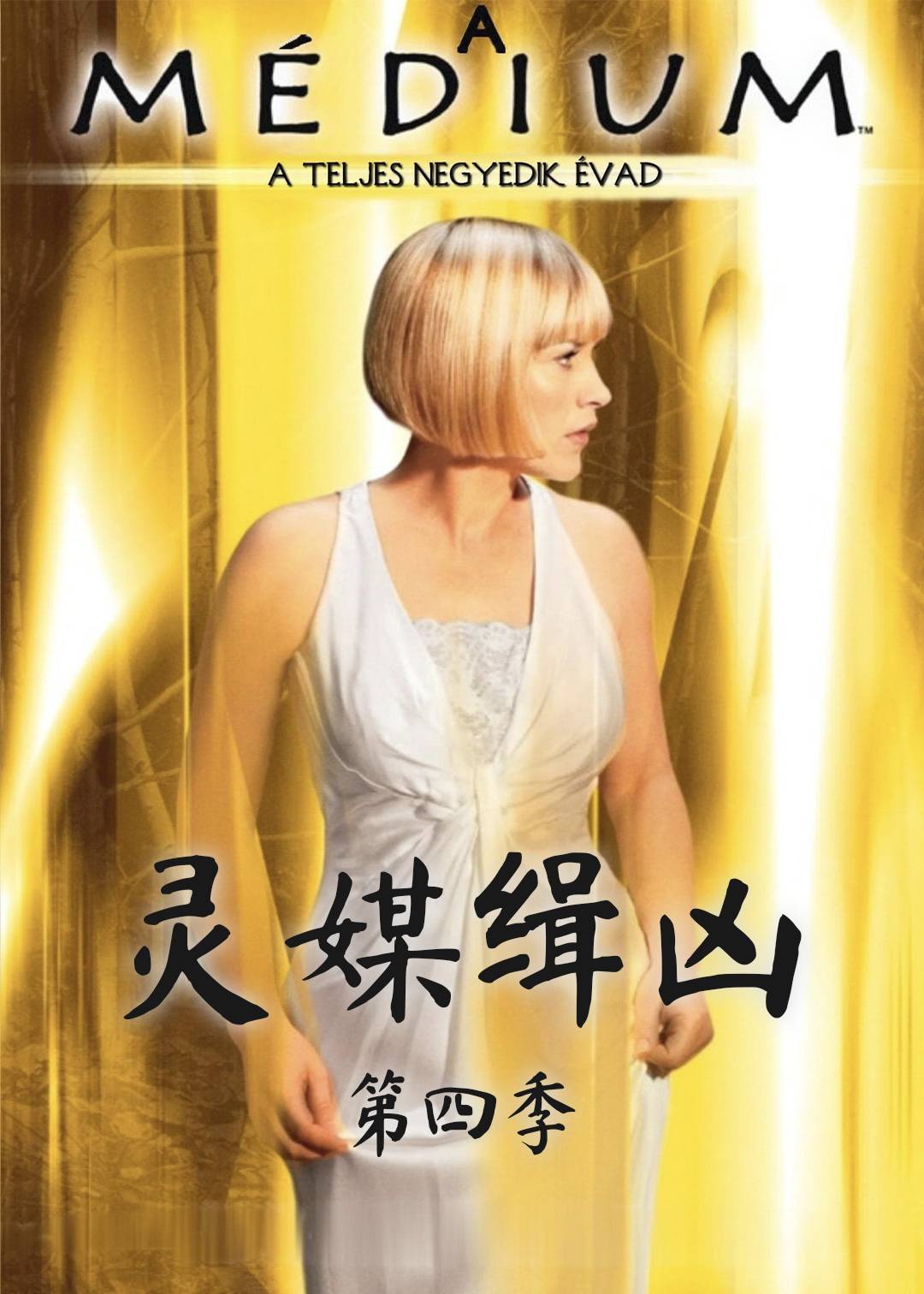 灵媒缉凶第四季