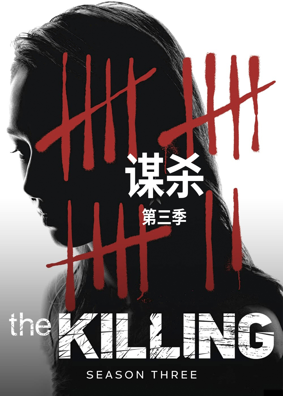 谋杀第三季