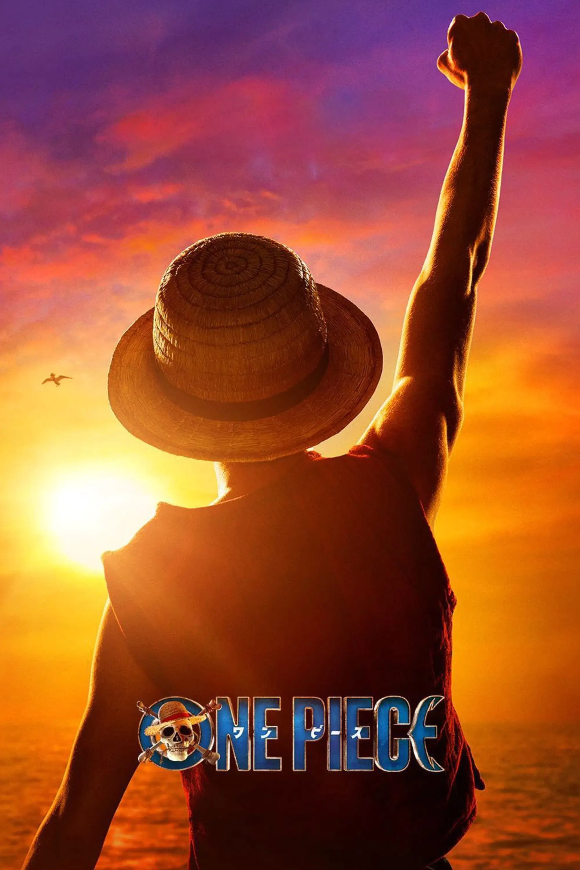 海贼王真人版日语配音第二季