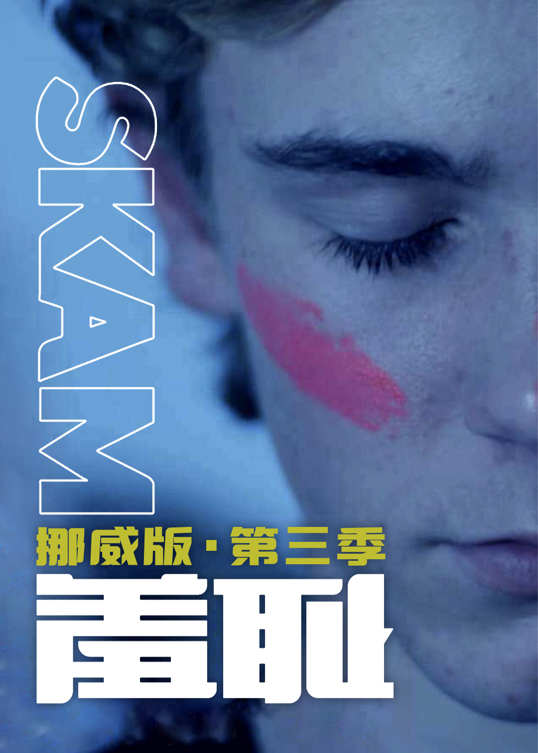 羞耻挪威版第三季