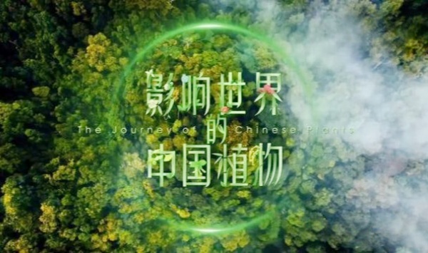 影响世界的中国植物