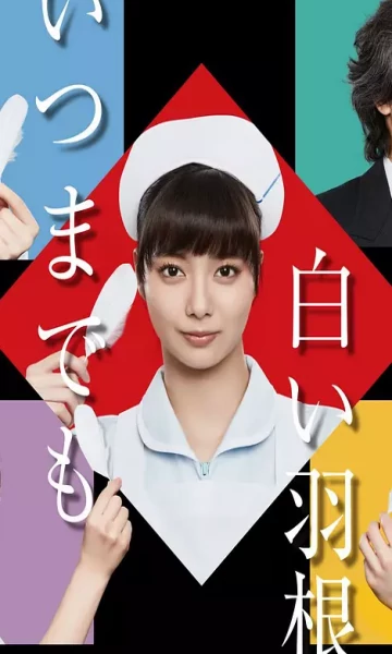 仍旧洁白的双翼