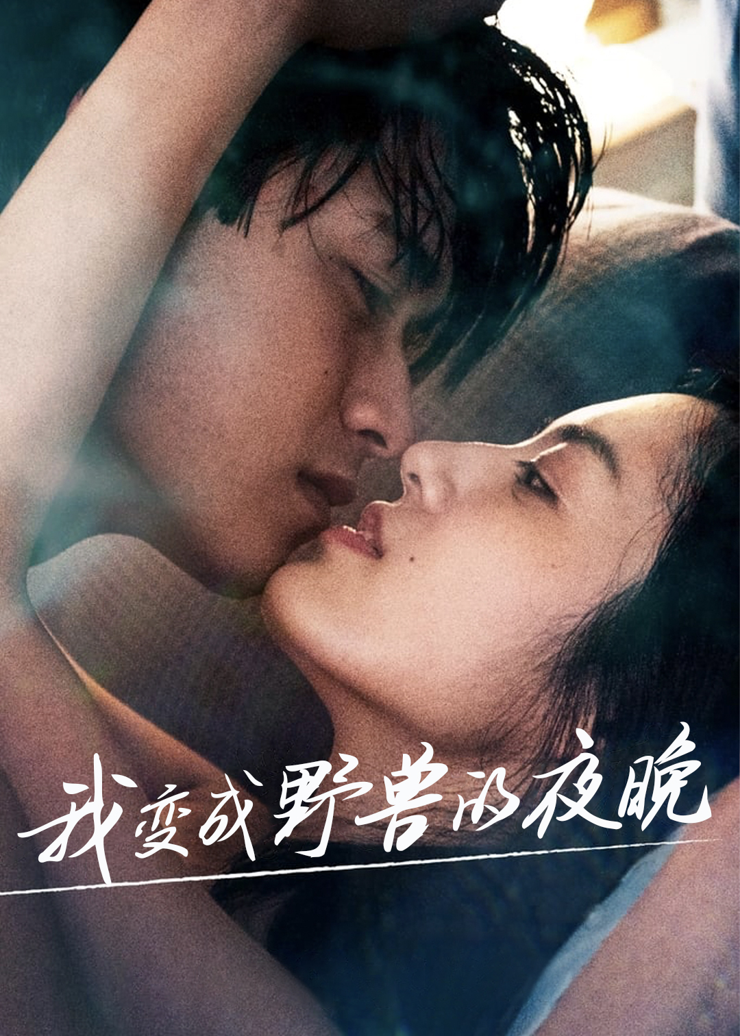 我变成野兽的夜晚