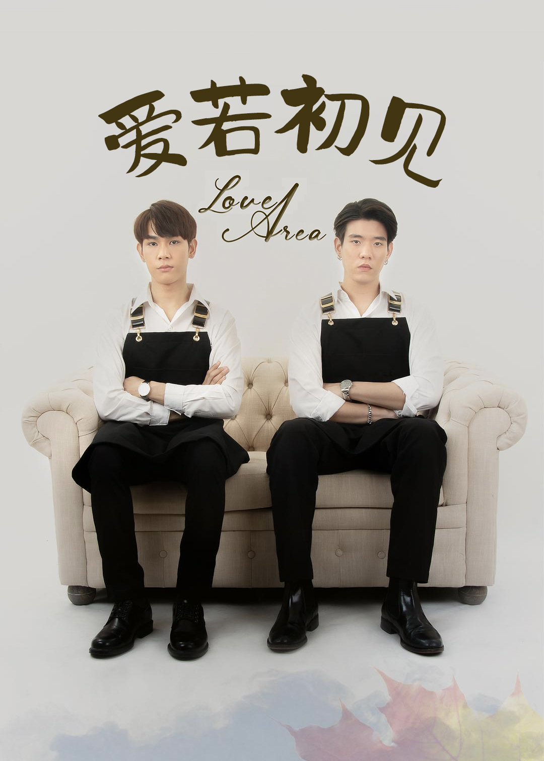 爱若初见电视台版