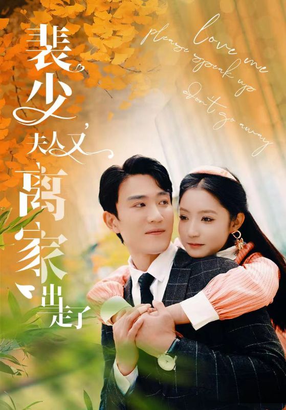 裴少夫人又离家出走了