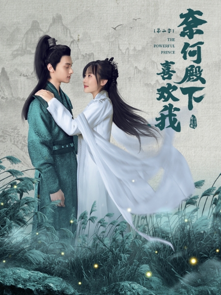 奈何殿下喜欢我第二季