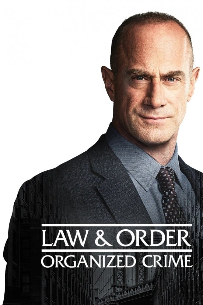 法律与秩序组织犯罪第二季