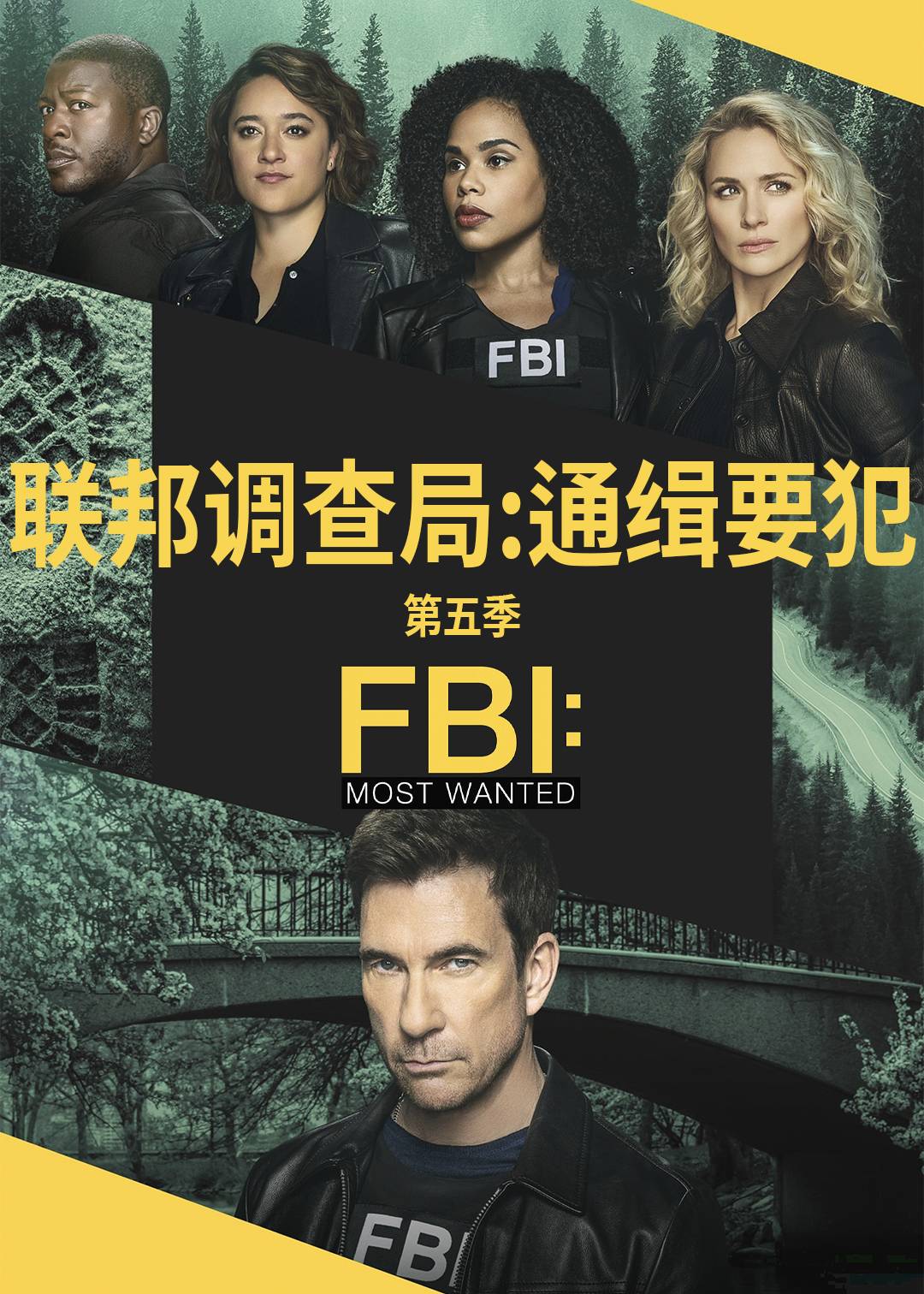 联邦调查局通缉要犯第五季