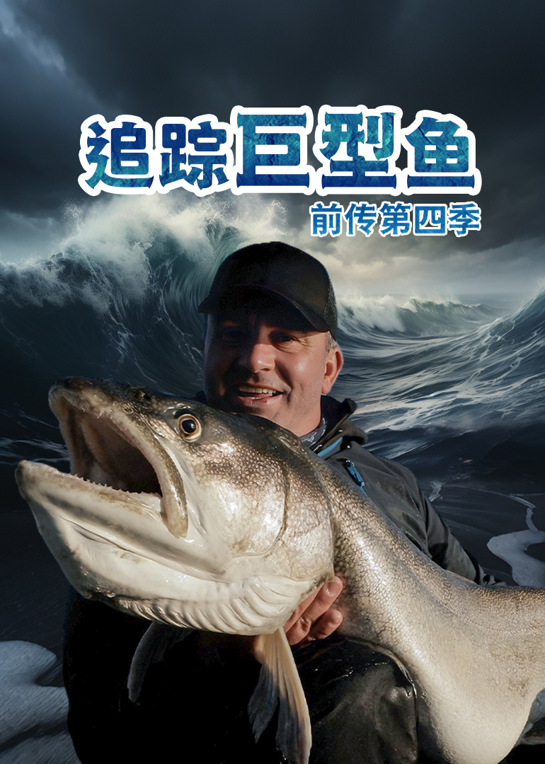 追踪巨型鱼前传第四季