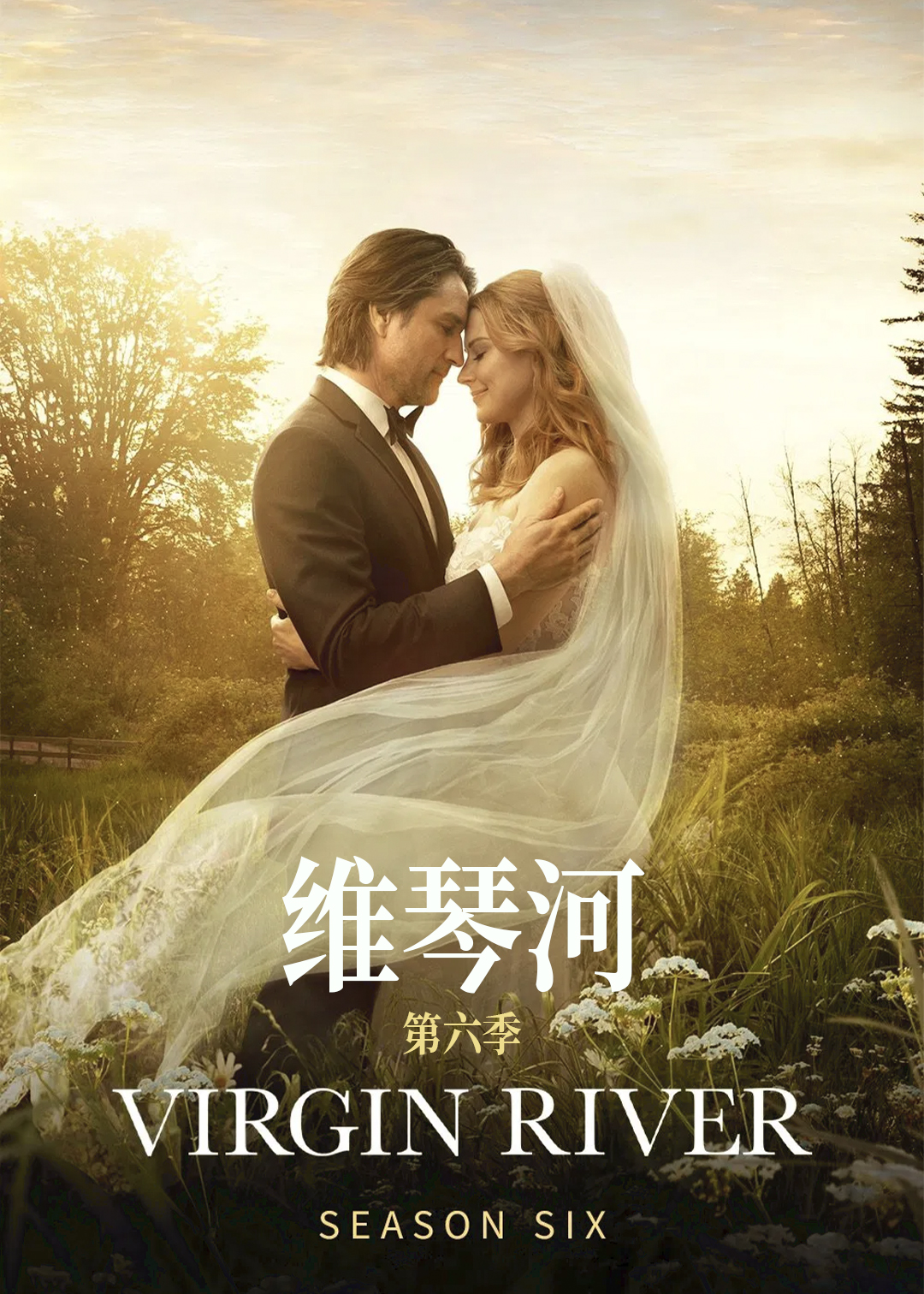 维琴河第六季