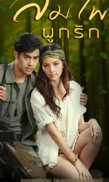 亲爱的英雄之风森结合为爱