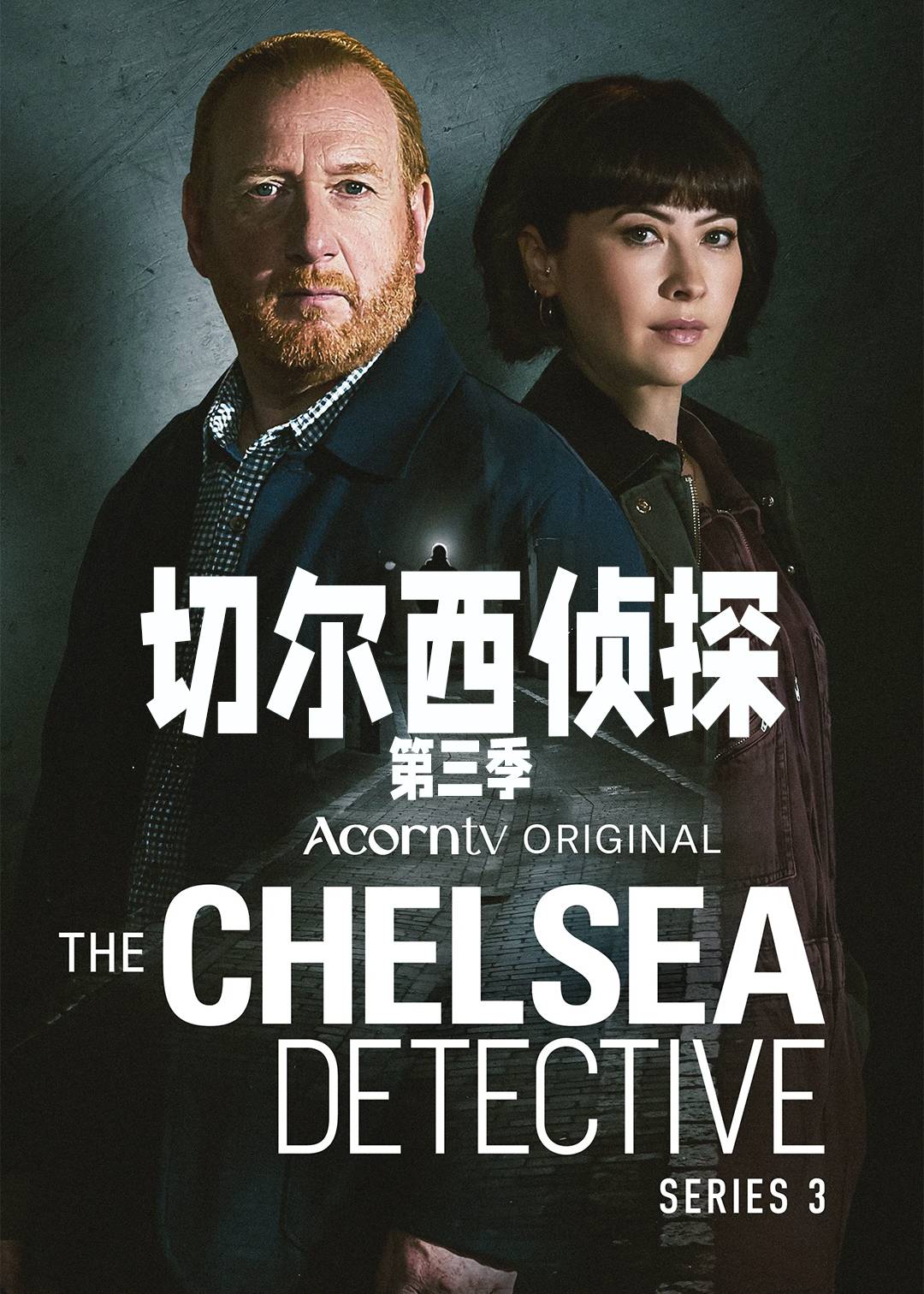切尔西侦探第三季