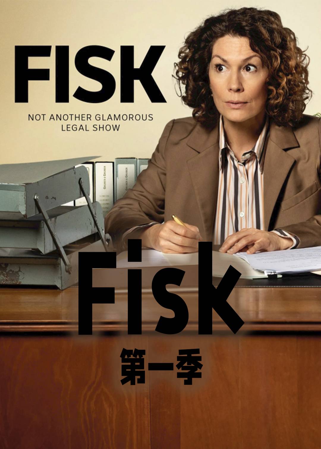 律师菲斯克第一季