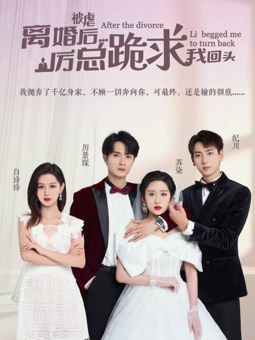 被虐离婚后厉总跪求我回头